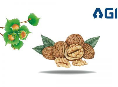 Nut and Walnut   Production Industry Benchmark Survey