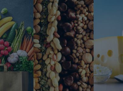 ახალი საგრანტო პროგრამები